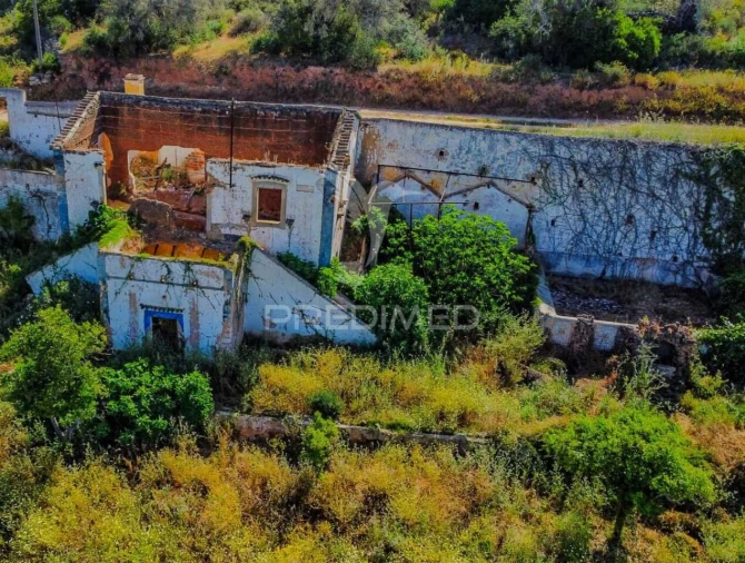 Terreno para Venda em Guia Foto 7