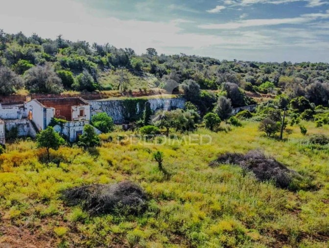 Terreno para Venda em Guia Foto 27