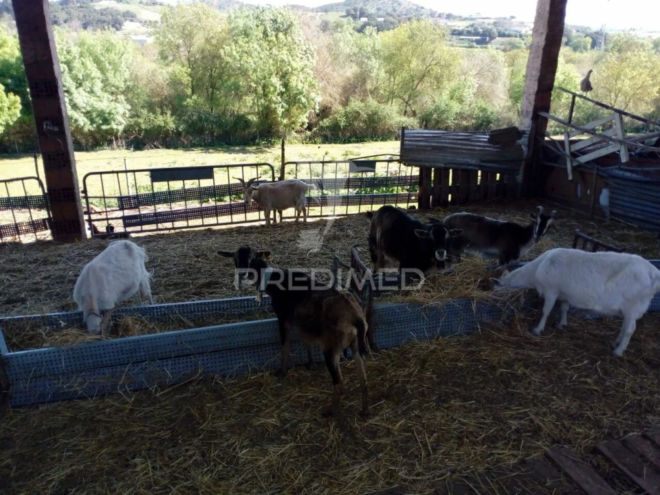 Quinta T2 para Venda em Povoa da Isenta Foto 15