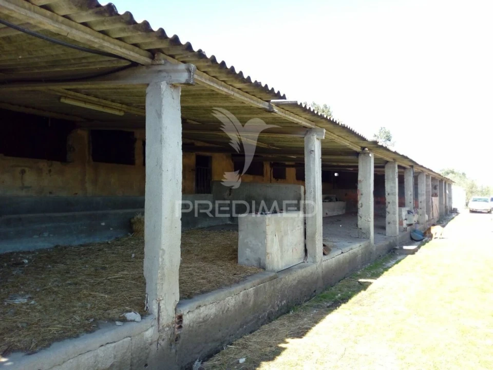 Quinta T2 para Venda em Povoa da Isenta Foto 23