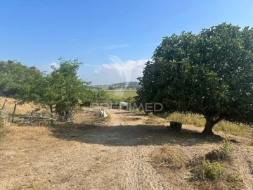 Quinta T2 para Venda em Povoa da Isenta
