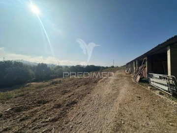 Quinta T2 para Venda em Povoa da Isenta