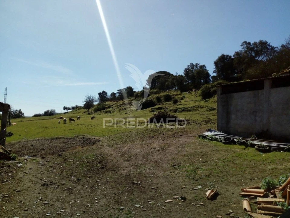 Quinta T2 para Venda em Povoa da Isenta Foto 19