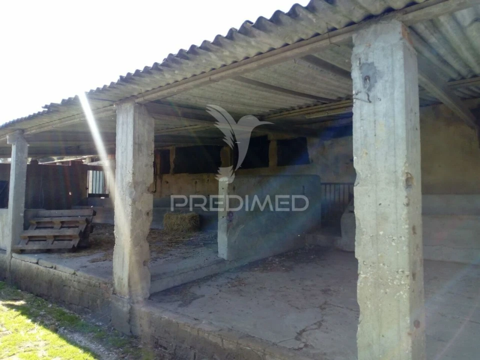 Quinta T2 para Venda em Povoa da Isenta Foto 17