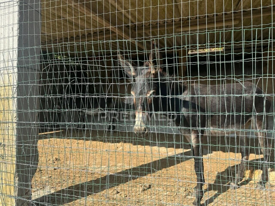 Quinta T2 para Venda em Povoa da Isenta Foto 21