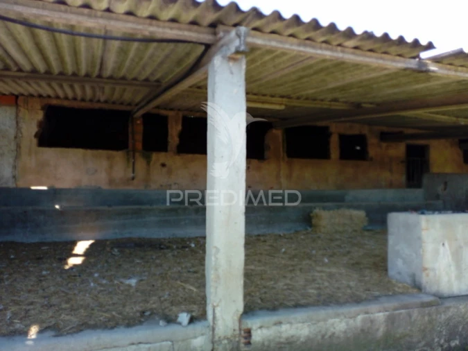 Quinta T2 para Venda em Povoa da Isenta Foto 4