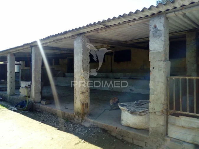 Quinta T2 para Venda em Povoa da Isenta Foto 16