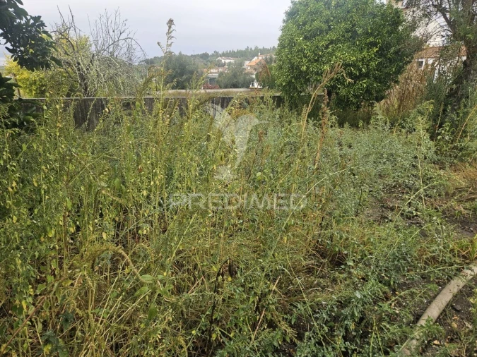 Moradia T3 para Venda em Bemposta Foto 6