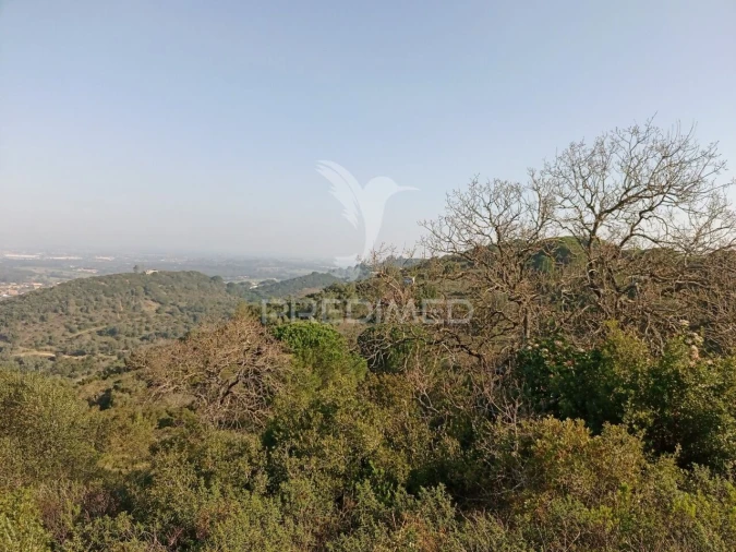 Terreno para Venda em São Francisco da Serra Foto 1