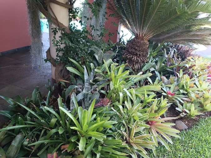 Moradia T4 para Venda em São Gonçalo Foto 9