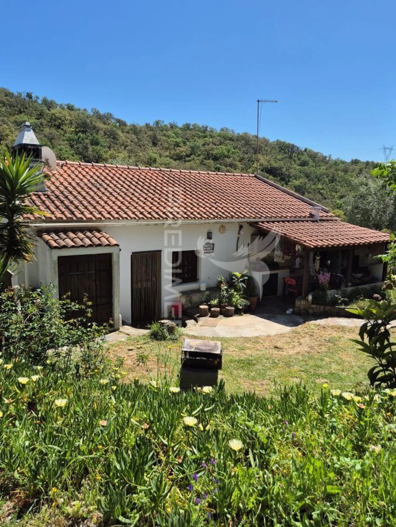 Quinta T2 para Venda em São Salvador e Santa Maria Foto 4