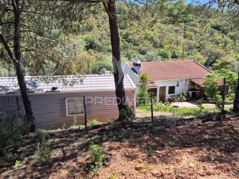 Quinta T2 para Venda em São Salvador e Santa Maria Foto 5