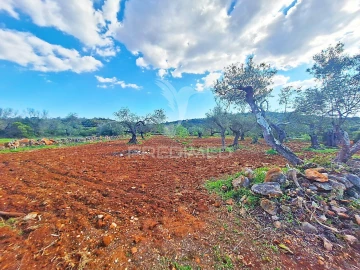 Terreno para Venda em Loule (São Sebastião)