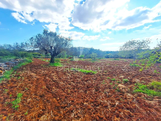 Terreno para Venda em Loule (São Sebastião) Foto 8