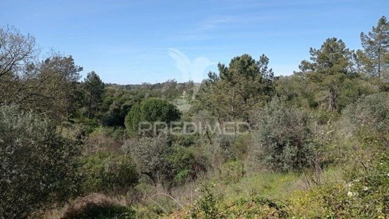 Moradia T2 para Venda em Montargil Foto 6