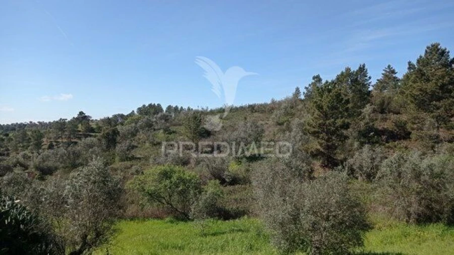 Moradia T2 para Venda em Montargil Foto 9