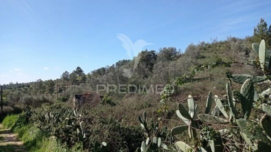 Moradia T2 para Venda em Montargil Foto 10