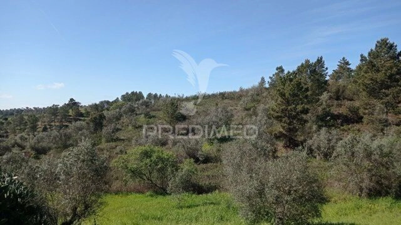 Moradia T2 para Venda em Montargil Foto 9