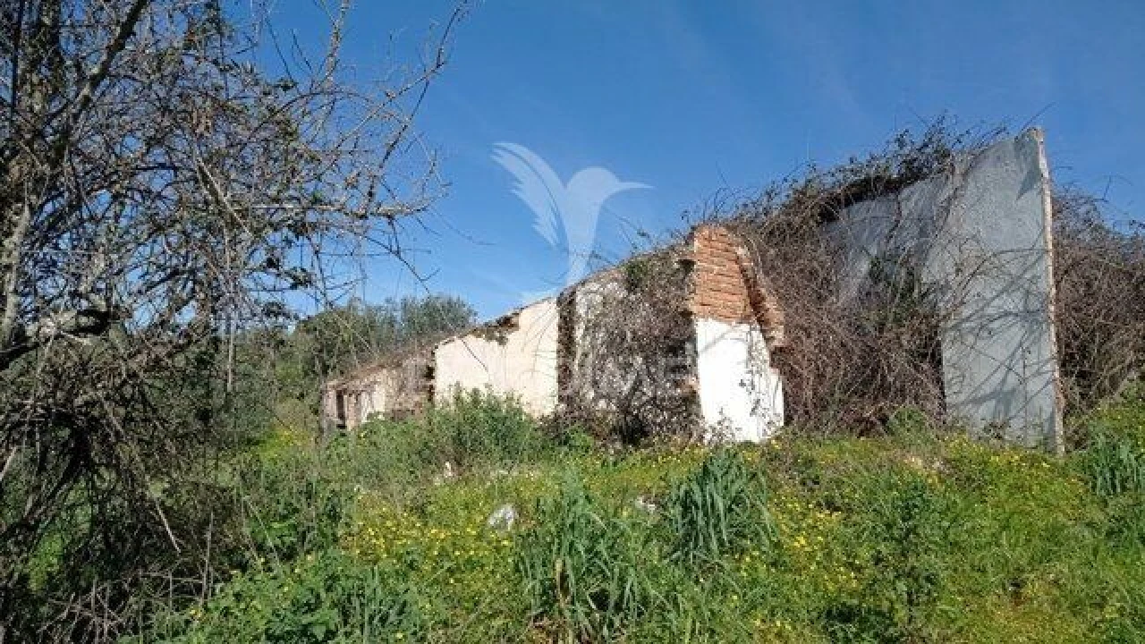 Moradia T2 para Venda em Montargil Foto 1