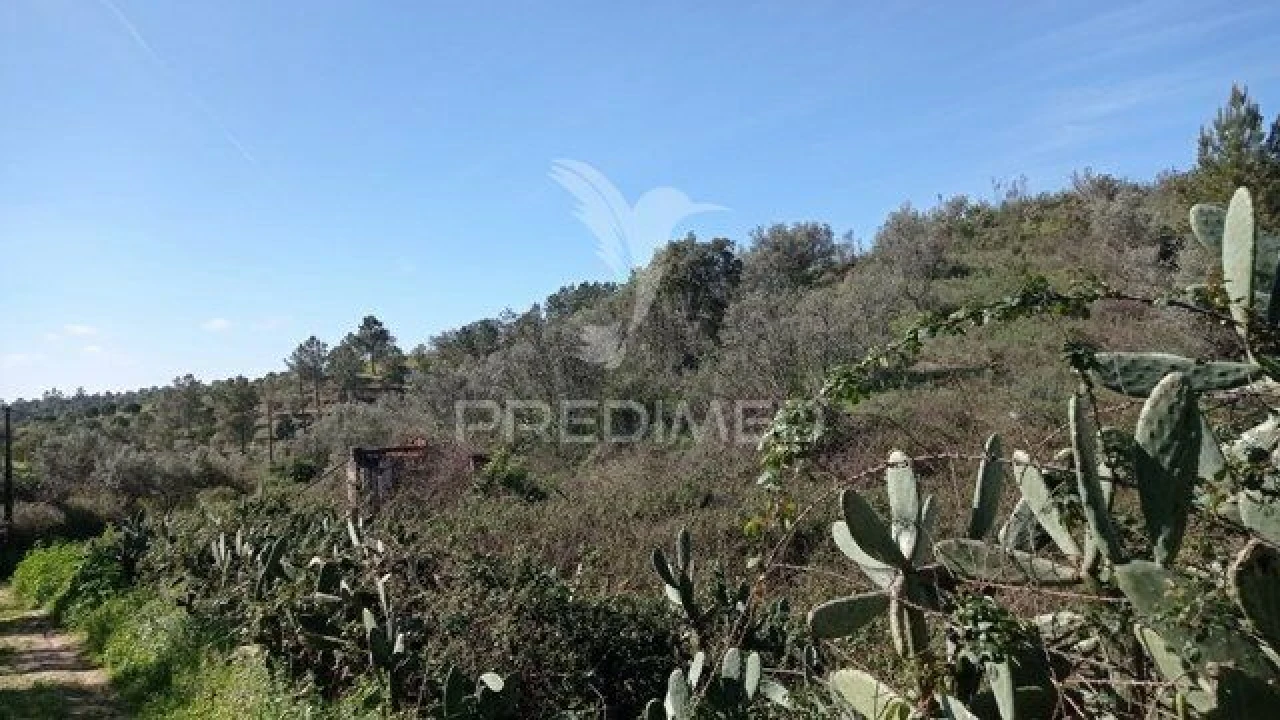 Moradia T2 para Venda em Montargil Foto 10