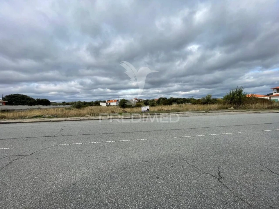 Terreno para Venda em Freixo de Numão Foto 6