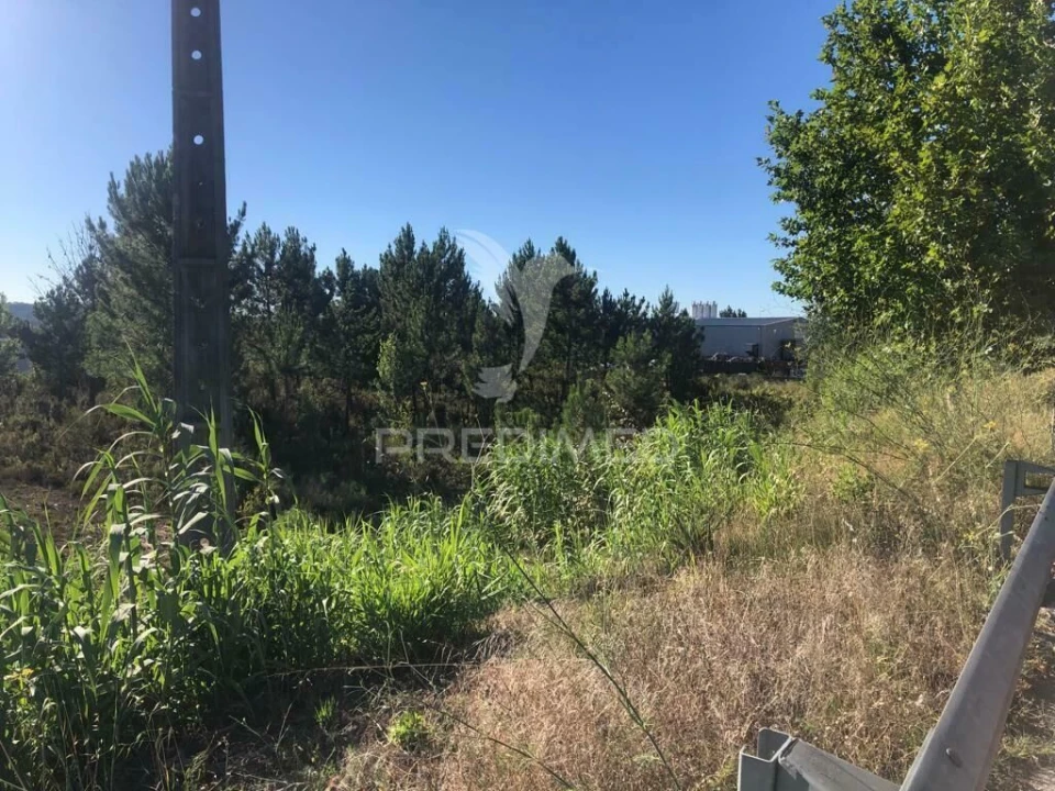 Terreno para Venda em Pelariga Foto 9