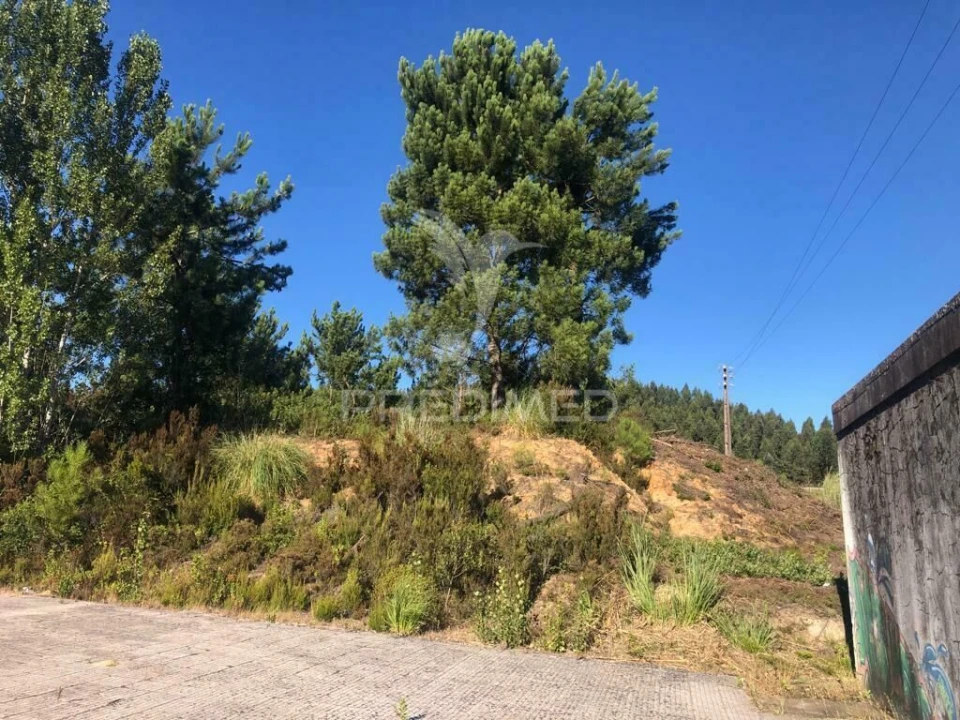 Terreno para Venda em Pelariga Foto 6