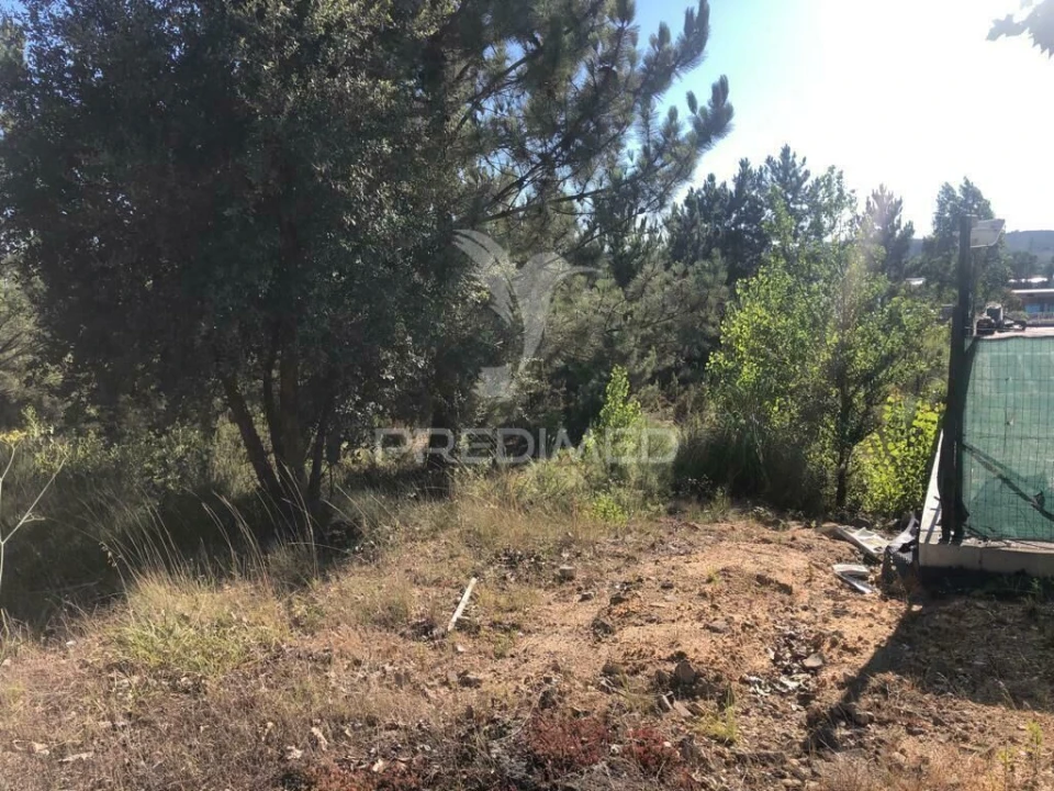 Terreno para Venda em Pelariga Foto 5