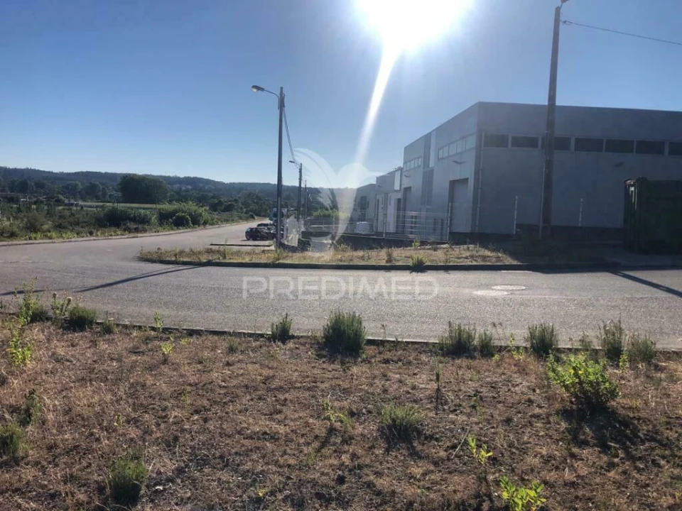 Terreno para Venda em Pelariga Foto 12