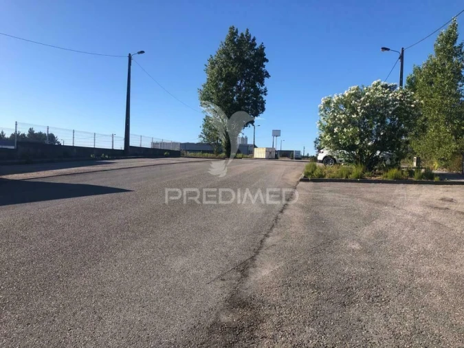 Terreno para Venda em Pelariga Foto 13