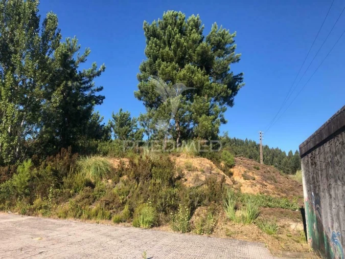 Terreno para Venda em Pelariga Foto 6