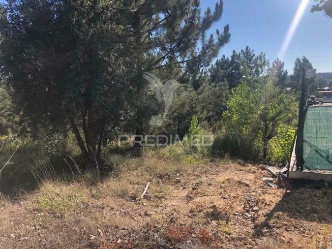 Terreno para Venda em Pelariga Foto 10