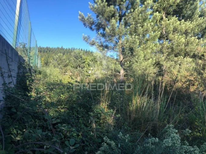 Terreno para Venda em Pelariga Foto 7