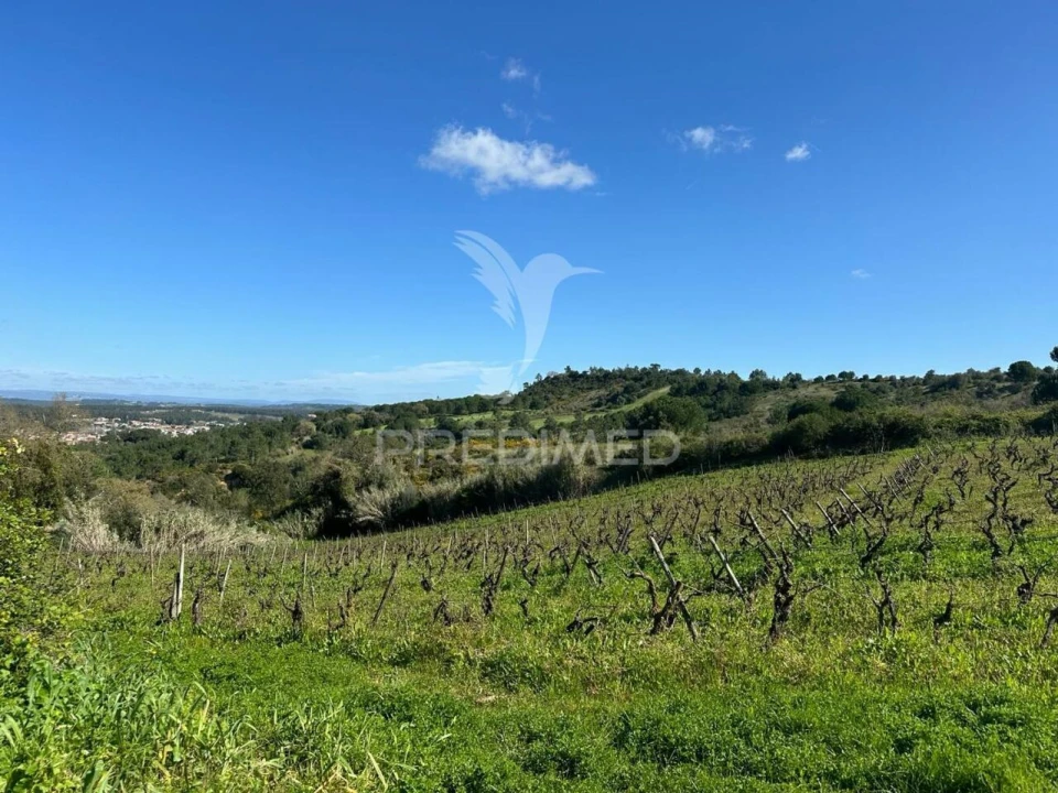 Terreno para Venda em Arrouquelas Foto 3