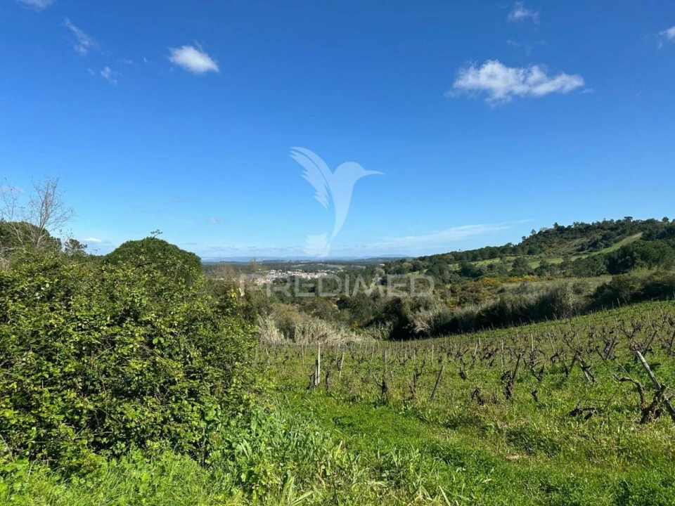 Terreno para Venda em Arrouquelas Foto 4