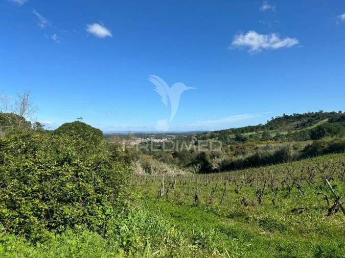 Terreno para Venda em Arrouquelas Foto 4