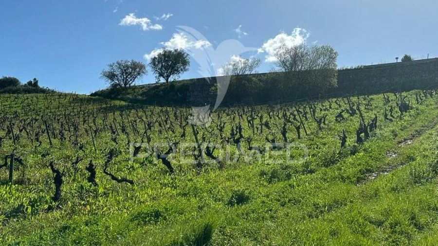 Terreno para Venda em Arrouquelas