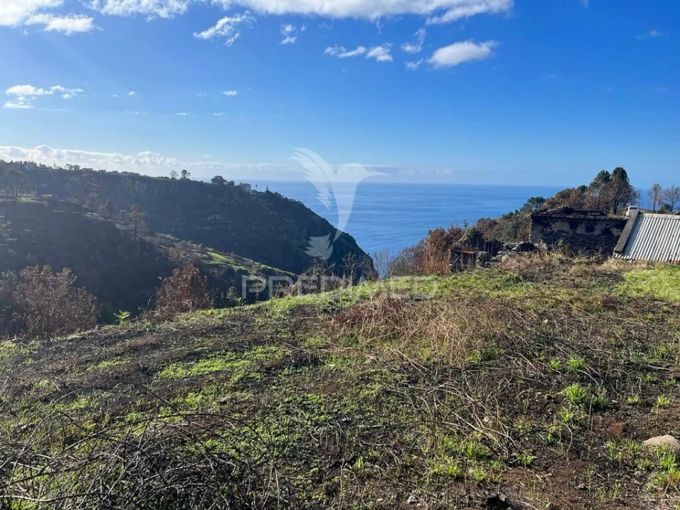 Moradia T1 para Venda em Calheta Foto 2