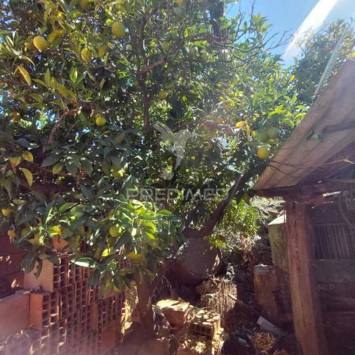 Moradia T0 para Venda em Chancelaria Foto 10