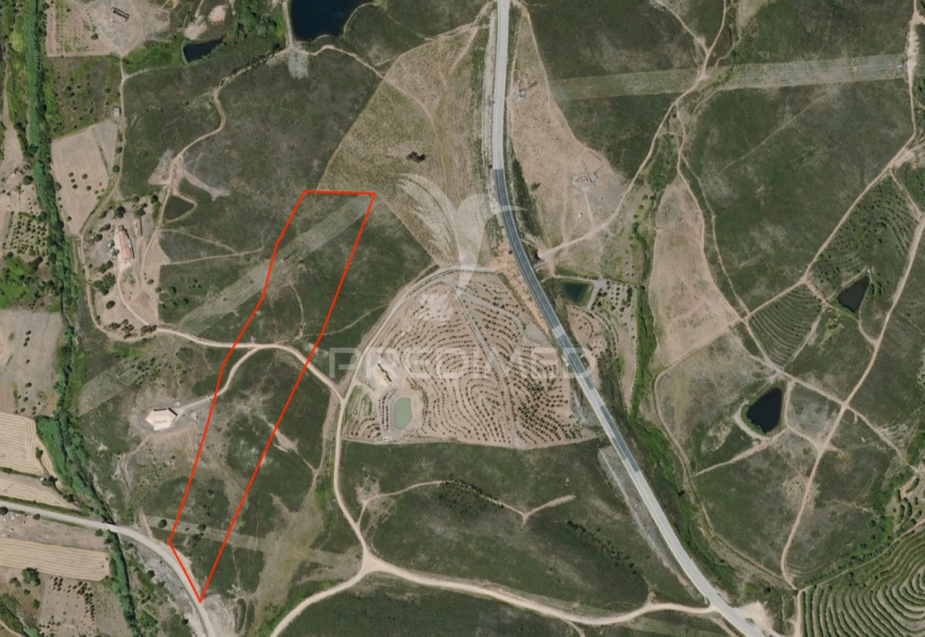 Terreno para Venda em Mexilhoeira Grande Foto 1