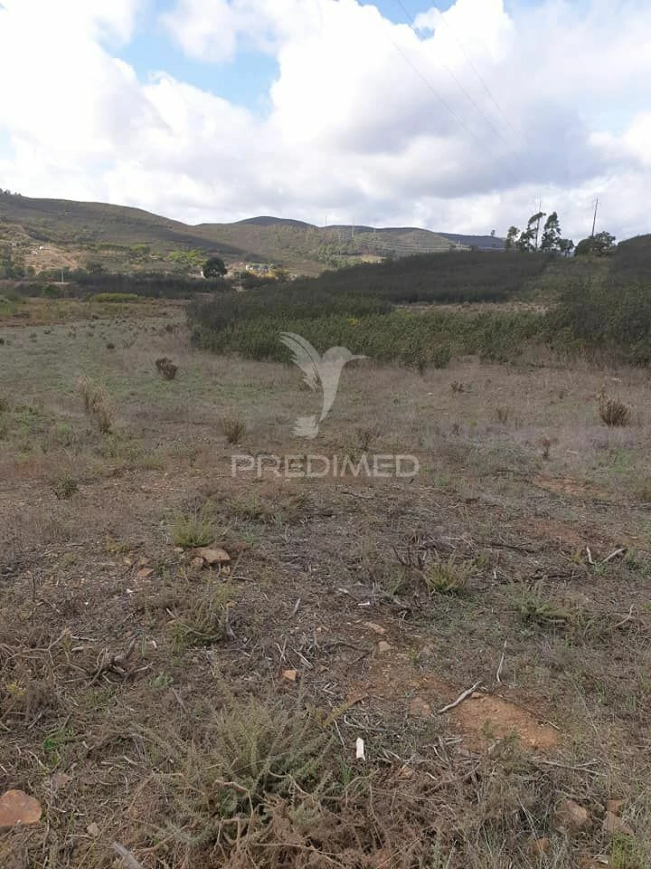 Terreno para Venda em Mexilhoeira Grande Foto 2