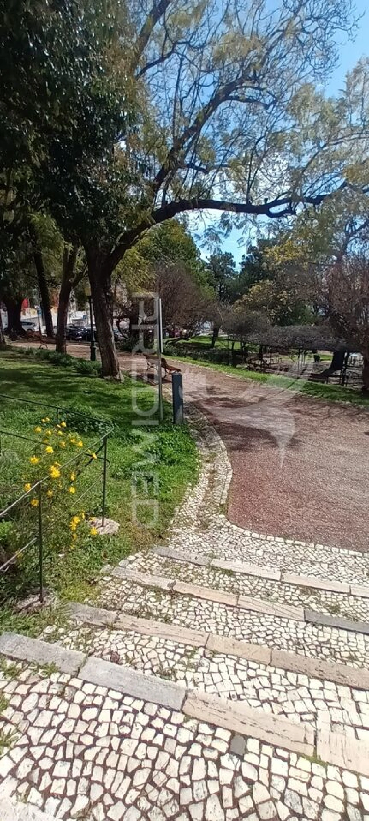 Apartamento T1 para Venda em Estrela Foto 2