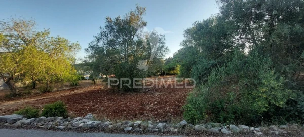 Terreno para Venda em São Brás de Alportel