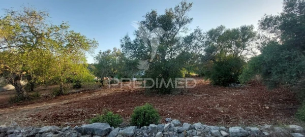 Terreno para Venda em São Brás de Alportel