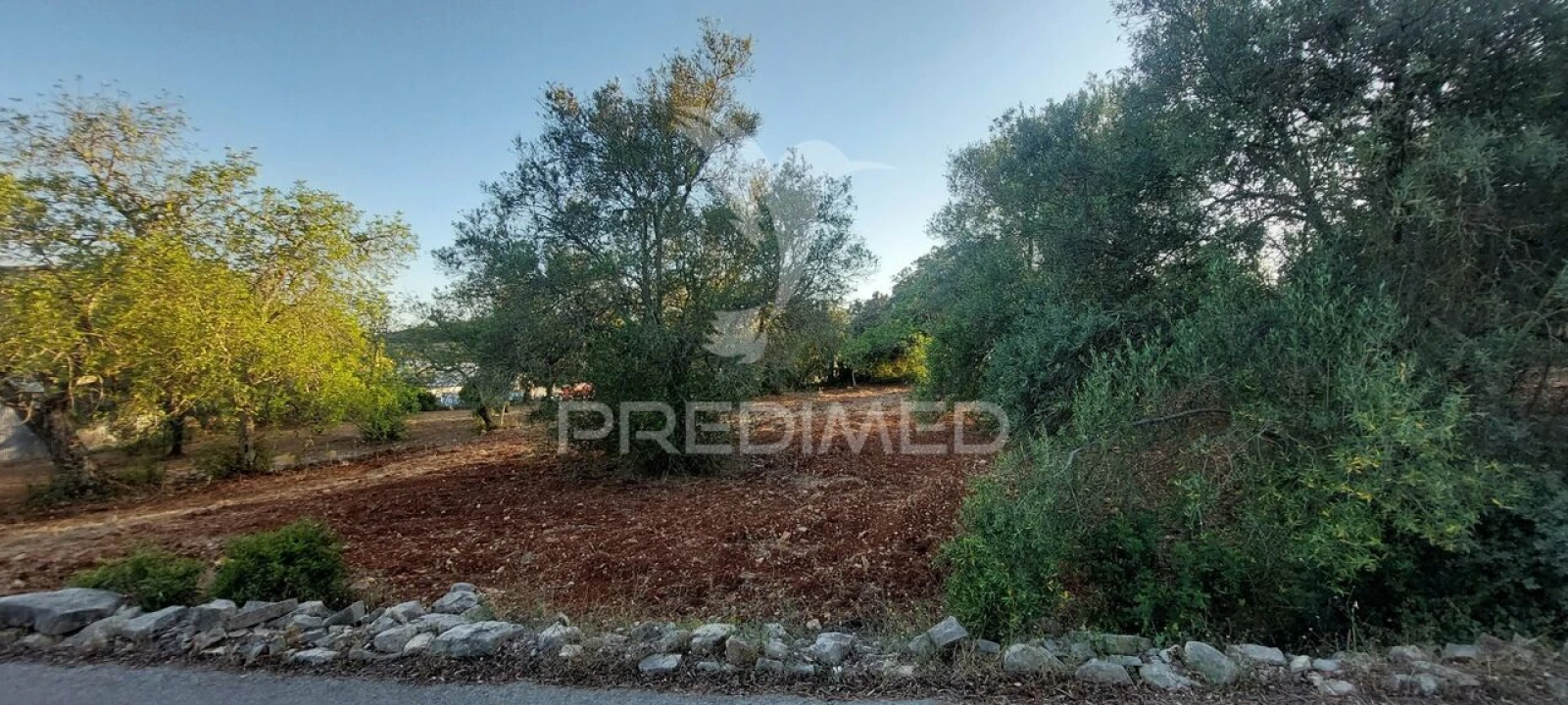 Terreno para Venda em São Brás de Alportel Foto 5