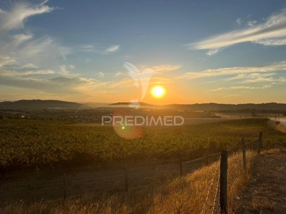 Quinta T5 para Venda em Redondo Foto 30