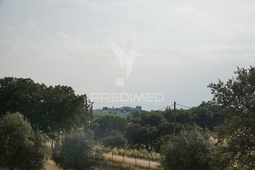 Quinta T5 para Venda em Redondo Foto 23