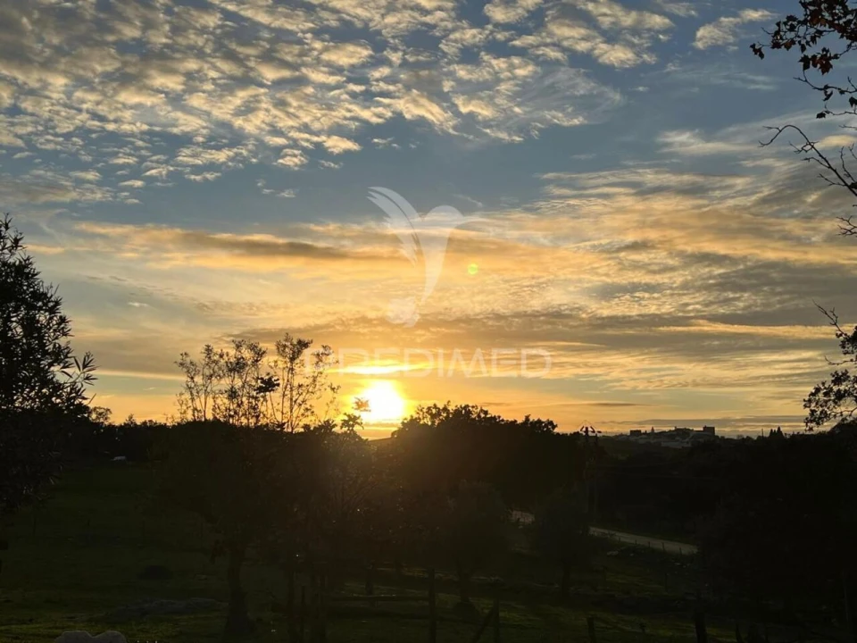 Quinta T5 para Venda em Redondo Foto 28