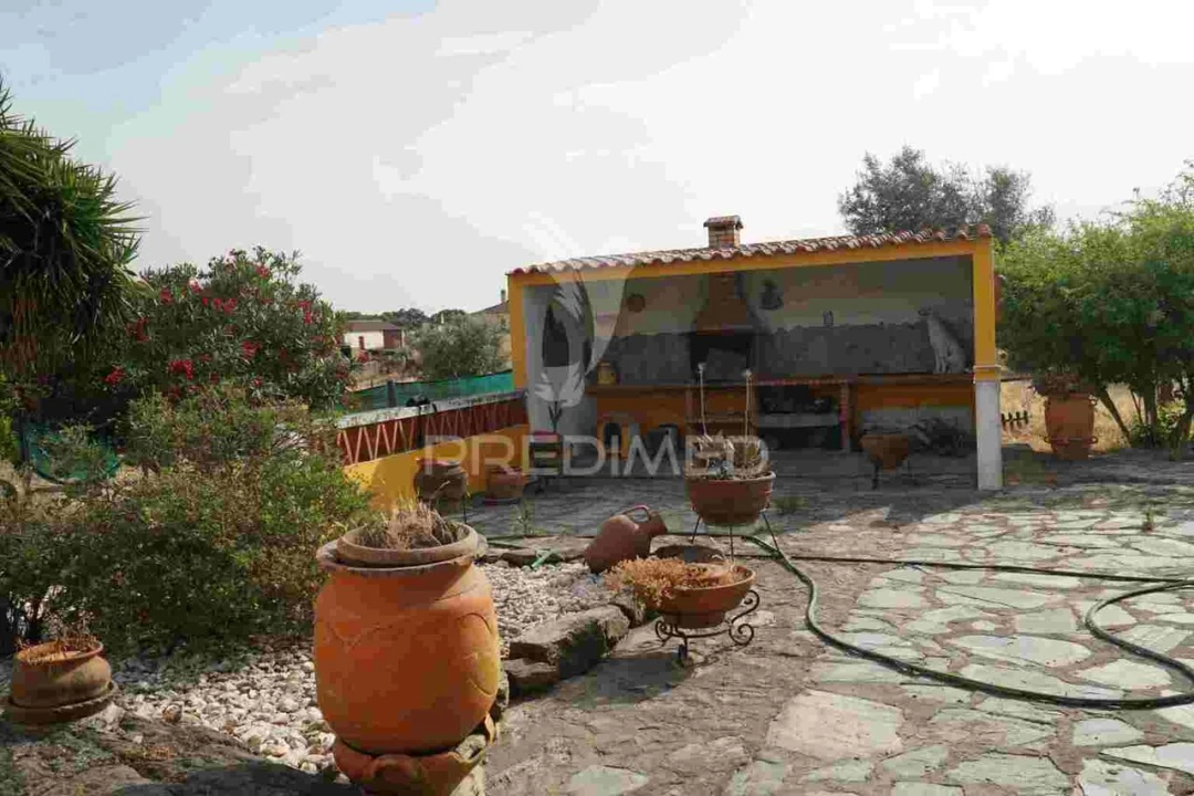 Quinta T5 para Venda em Redondo Foto 22