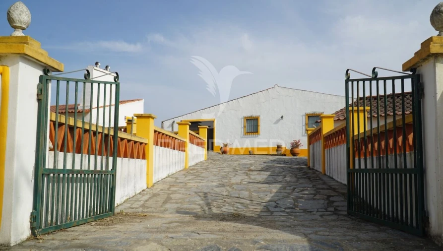 Quinta T5 para Venda em Redondo Foto 4